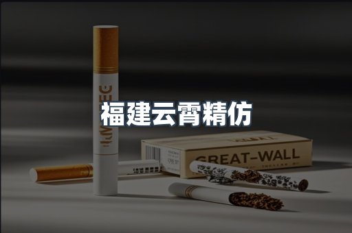 福建云霄精仿